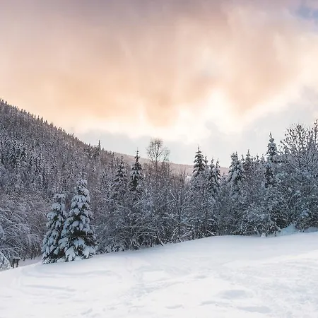 Aparthotel Pod Plani Aparthotel