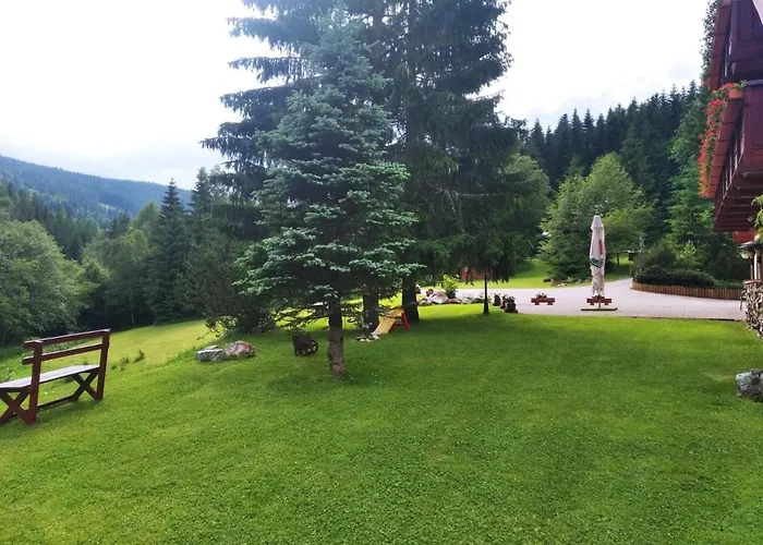 شقة فندقية Pod Plani 3*