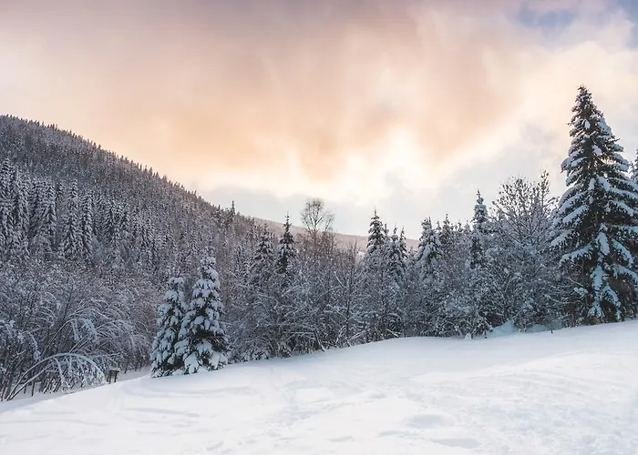 Pod Plání Aparthotel